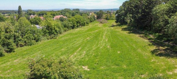 Земельный участок в Занкт Эгиден ам Штайнфельд, Австрия № 193785 5