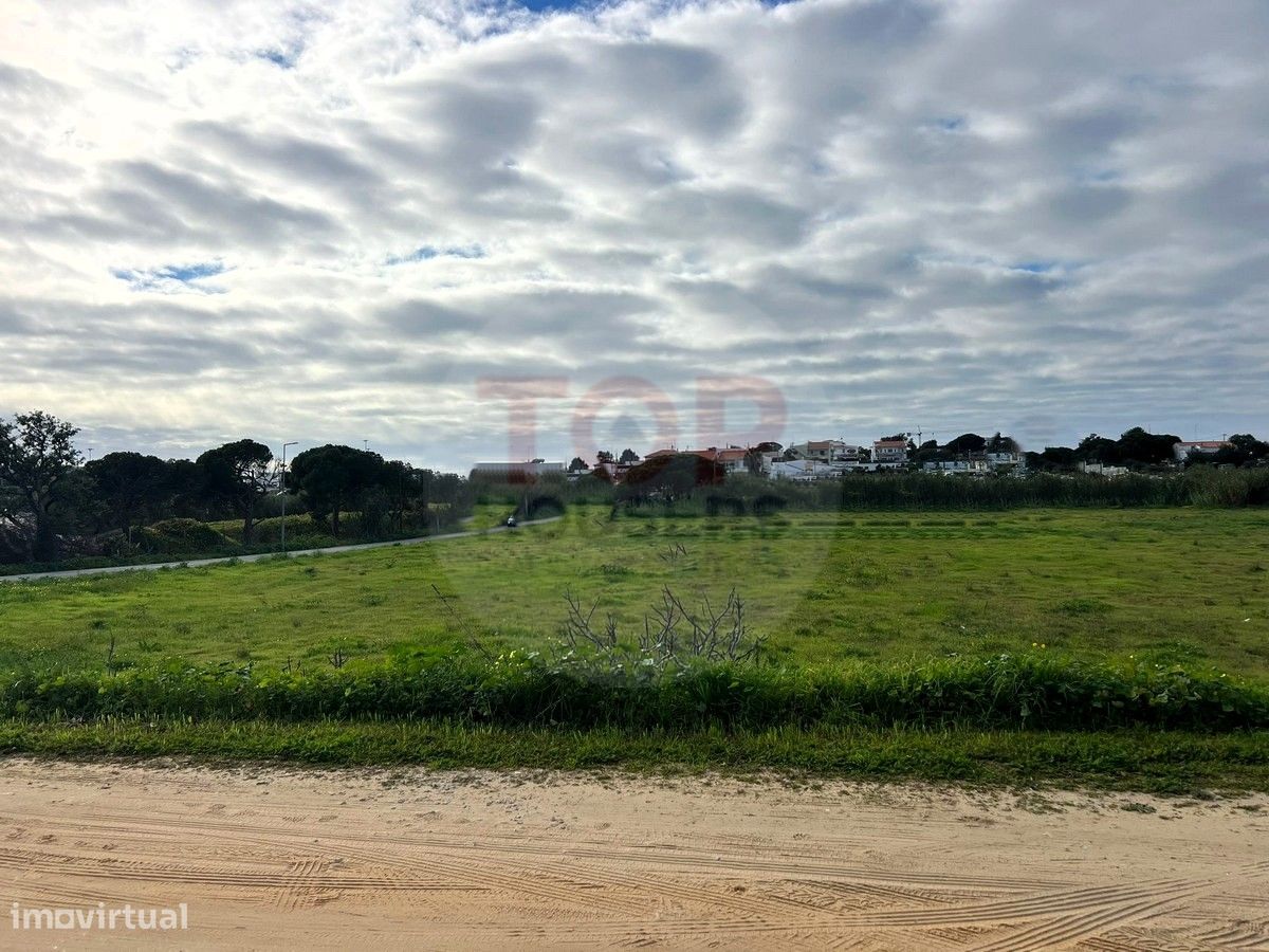 12901m² Land in Montenegro, Portugal No. 74765