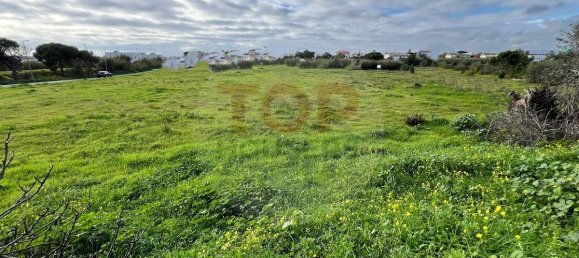 12901m² Land in Montenegro, Portugal No. 74765 9