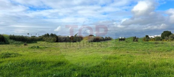 12901m² Land in Montenegro, Portugal No. 74765 14