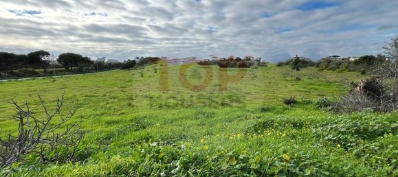 12901m² Land in Montenegro, Portugal No. 74765 8