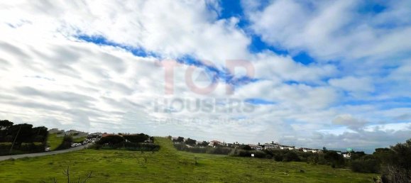 12901m² Land in Montenegro, Portugal No. 74765 5