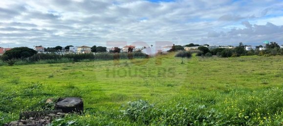 12901m² Land in Montenegro, Portugal No. 74765 3