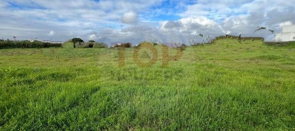 12901m² Land in Montenegro, Portugal No. 74765 11