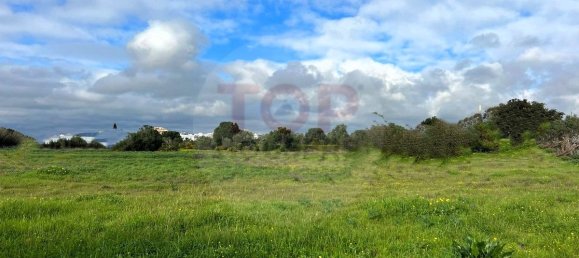 12901m² Land in Montenegro, Portugal No. 74765 13