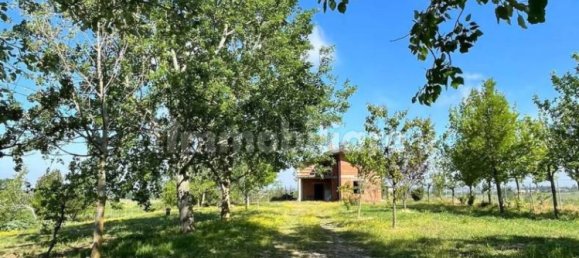 7 bedrooms Villa in Torrazza Coste, Italy No. 68432 3