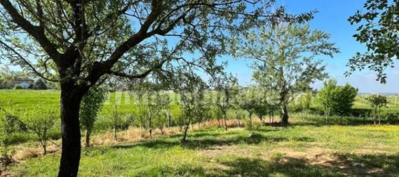 7 bedrooms Villa in Torrazza Coste, Italy No. 68432 83