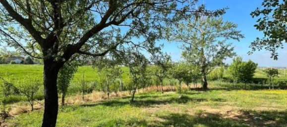 7 bedrooms Villa in Torrazza Coste, Italy No. 68432 69