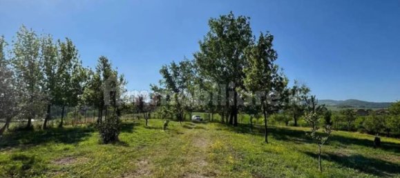 7 bedrooms Villa in Torrazza Coste, Italy No. 68432 62