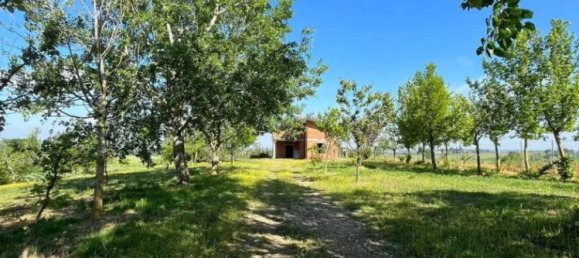 7 bedrooms Villa in Torrazza Coste, Italy No. 68432 78