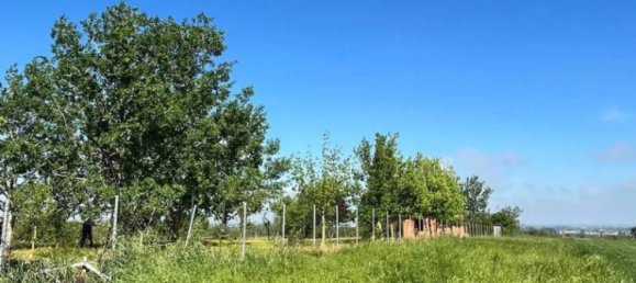 7 bedrooms Villa in Torrazza Coste, Italy No. 68432 79