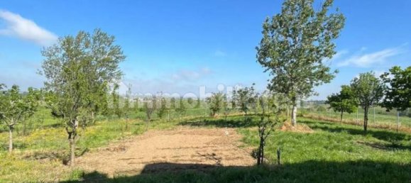 7 bedrooms Villa in Torrazza Coste, Italy No. 68432 59