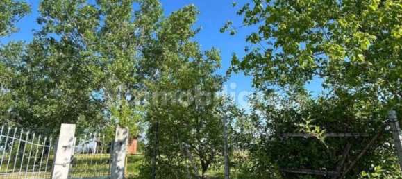 7 bedrooms Villa in Torrazza Coste, Italy No. 68432 74