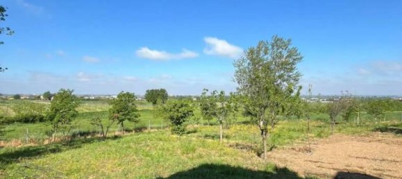 7 bedrooms Villa in Torrazza Coste, Italy No. 68432 76