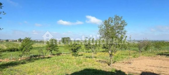 7 bedrooms Villa in Torrazza Coste, Italy No. 68432 63