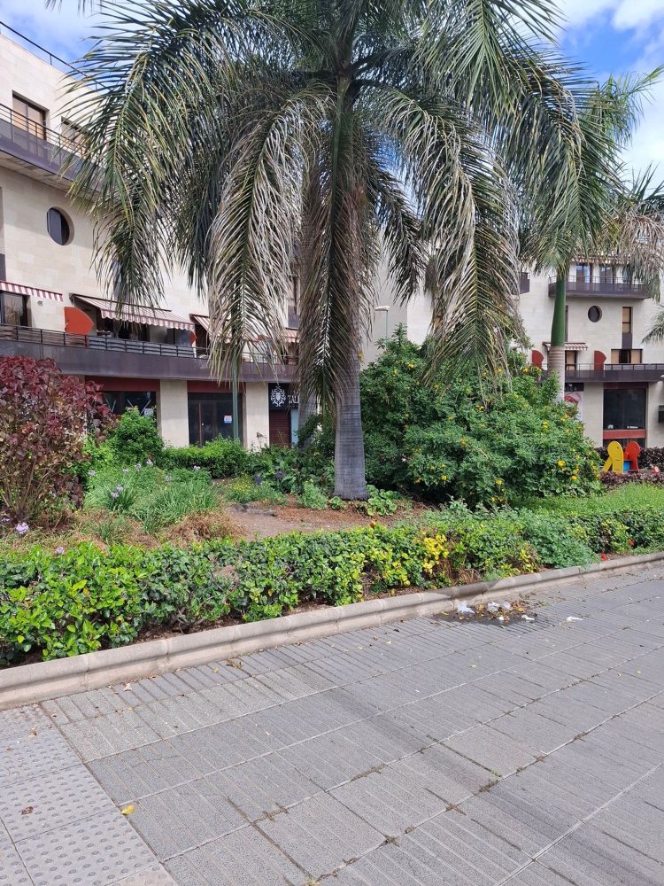 Propiedad comercial en Las Palmas De Gran Canaria, Spain 330 m² No. 19878