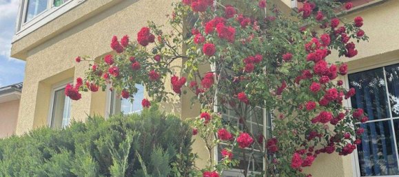 12 rooms Townhouse in Oberhavel, Germany No. 304066 10