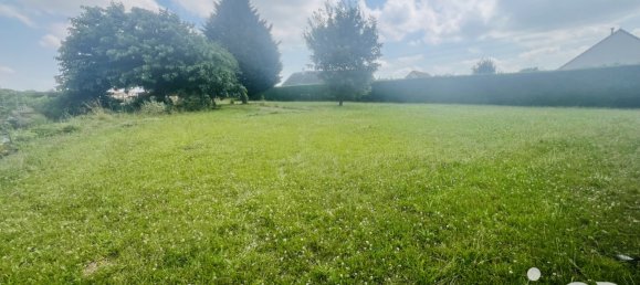 1991m² Land in Chateauneuf-sur-Cher, France No. 265423 2