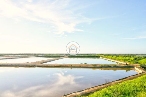 5 chambres Maison à Olhao, Portugal No. 330088