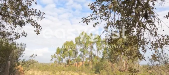 Casa de 2 dormitorios en Ourique, Portugal No. 40820 13