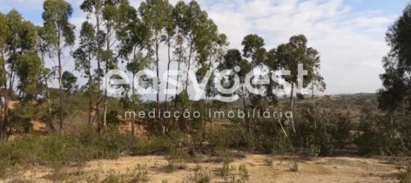 Casa de 2 dormitorios en Ourique, Portugal No. 40820 12