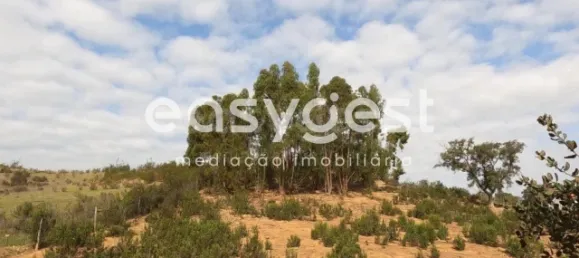 Casa de 2 dormitorios en Ourique, Portugal No. 40820 11