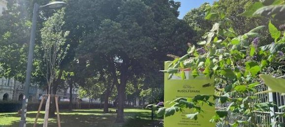 1 غرف نوم شقة في Vienna, Austria رقم 20519 2