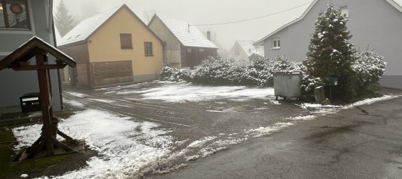 Коммерческая недвижимость 267м² в Брайтенбах-О-Рен, Франция № 91729 11