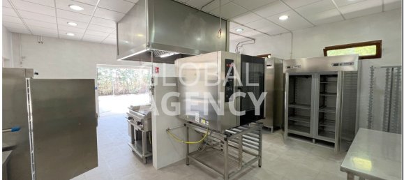 15000m² Land in Chinchon, Spain No. 189353 14