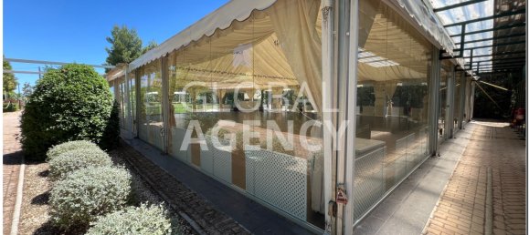 15000m² Land in Chinchon, Spain No. 189353 10