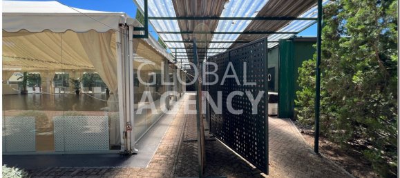 15000m² Land in Chinchon, Spain No. 189353 11