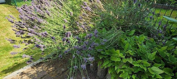 5-Zimmer Stadthaus in Harburg, Germany, Nr. 275194 38