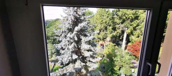 3-Zimmer Wohnung in Burgenlandkreis, Germany, Nr. 241954 12