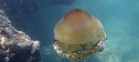 Moradia em banda T2 em San Pedro del Pinatar, Spain N.º 166381 28