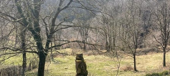 3-salle Maison à Dizzasco, Italy No. 207509 18