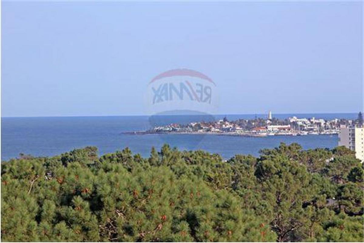 3 bedrooms Apartment in Maldonado, Uruguay No. 6070