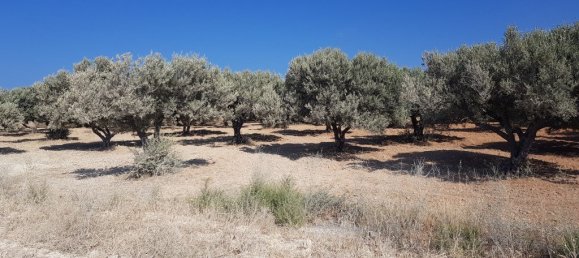 Hotel em Heraklion, Greece 10000 m² N.º 4636 3