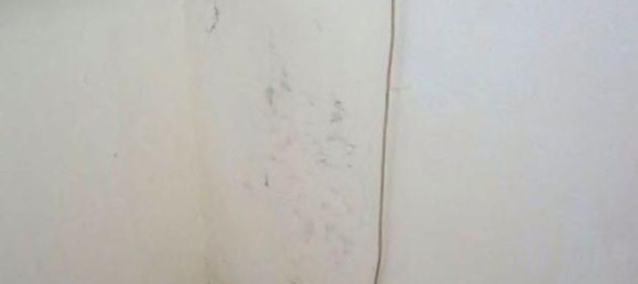 Bureau à Gonzaga, Italy 40m² No. 299284 40