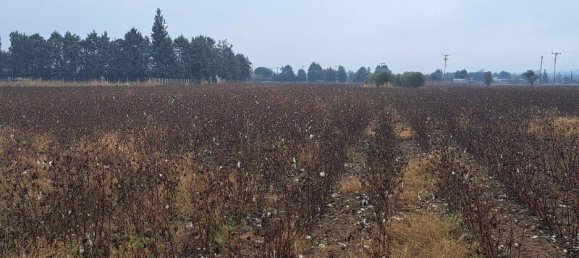 12500m² Hotel in Thermi, Greece No. 2389 3