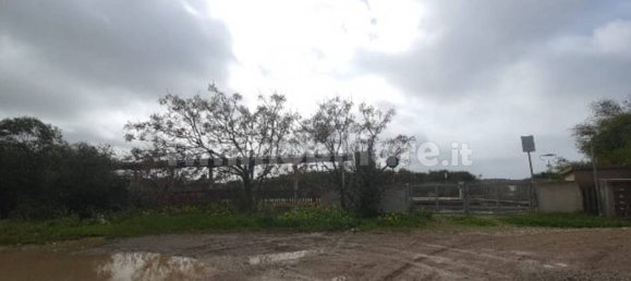 Склад с 3 спальнями в Сардиния, Италия № 353150 5