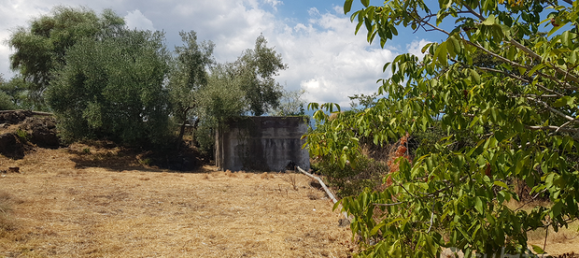 Земельный участок 8000м² в Санта Венерина, Италия № 309649 3