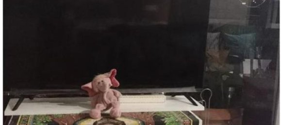 1 Schlafzimmer Wohnung in Valencia, Spain, Nr. 190910 25