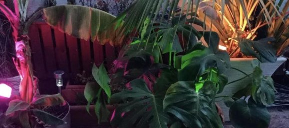 1 Schlafzimmer Wohnung in Valencia, Spain, Nr. 190910 20