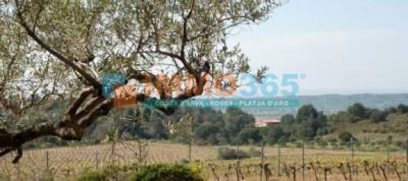 Terreno en Garriguella, Spain 1604 m² No. 73538 2