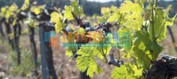 Terreno en Garriguella, Spain 1604 m² No. 73538 3