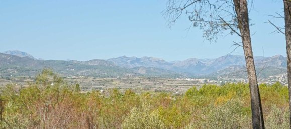 Terrain à Alicante, Spain No. 134493 2