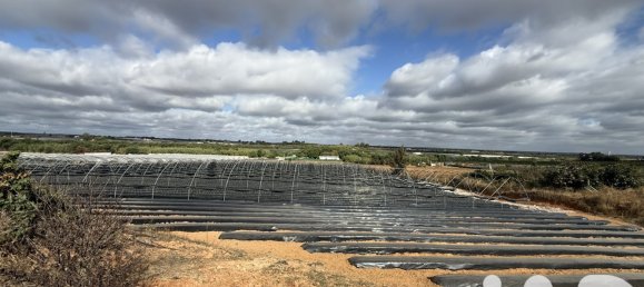 Коммерческая недвижимость в Лепе, Испания № 292432 7