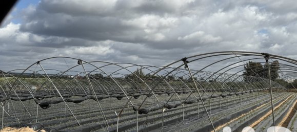 Коммерческая недвижимость в Лепе, Испания № 292432 10