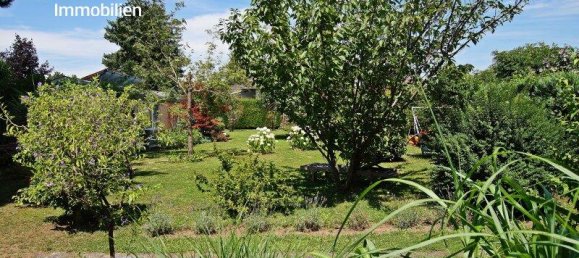 4-Zimmer Haus in Wien, Austria, Nr. 234235 49