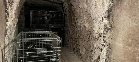 5 bedrooms House in Chancay, France No. 88381 15